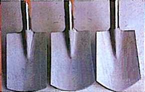 page media image 3