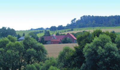 Region "Rintelner Staatsforst" Symbolbild - Wald - Staatsforst