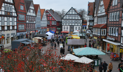 Brennholz- und Bauernmarkt Brennholzmarkt Rinteln 03