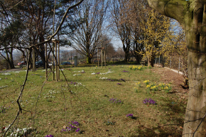 page media image 1