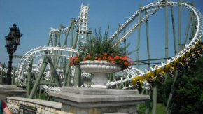 page media image 1