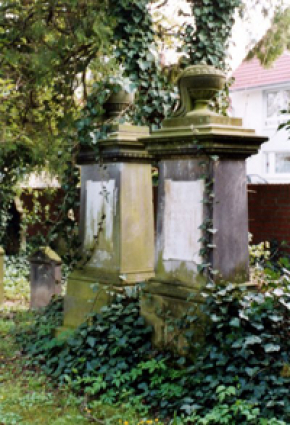 page media image 1