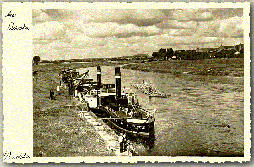 d115782951