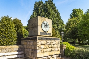 page media image 1