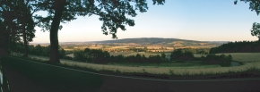 page media image 1