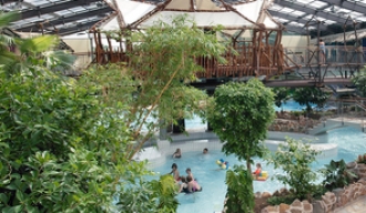 Tropicana