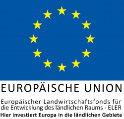 EULogoHieriInvestiert zentriert3