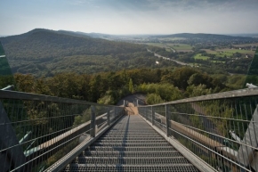page media image 4