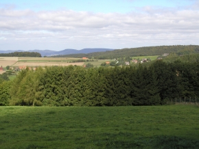 page media image 4