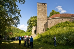 page media image 1