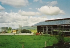 page media image 2