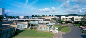 page media image 1