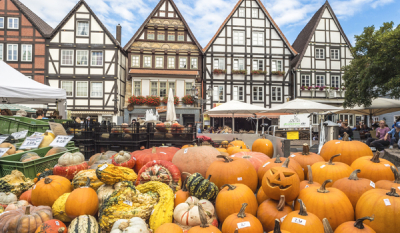 Öko- und Bauernmarkt OEM3